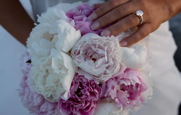 Close-up of blush flowers at a Tampa Bay celebration